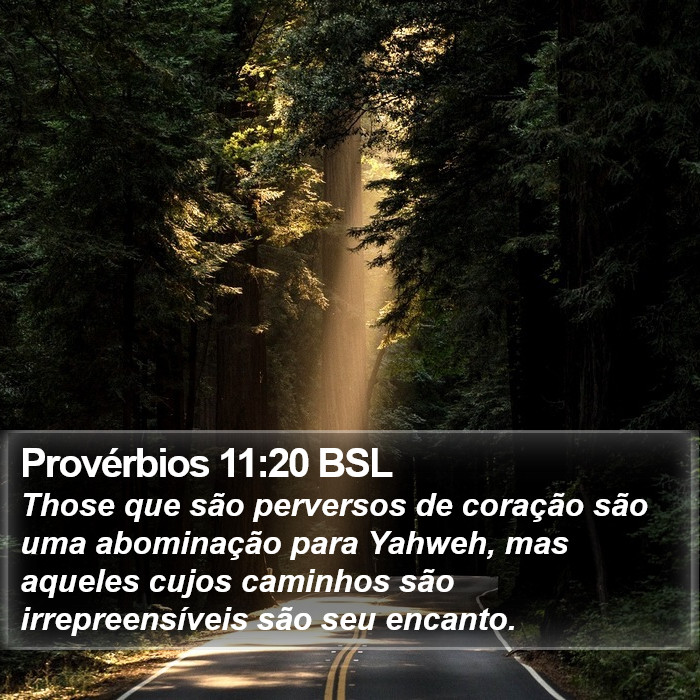 Provérbios 11:20 BSL Bible Study