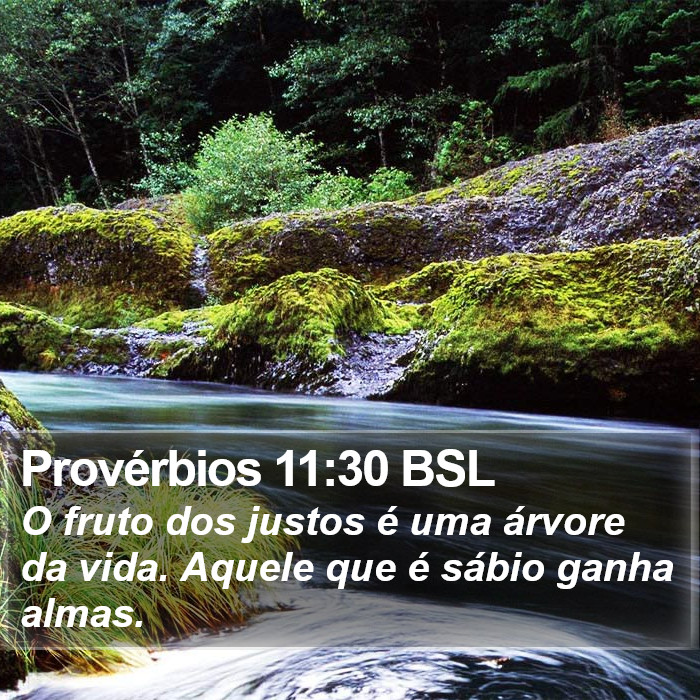 Provérbios 11:30 BSL Bible Study