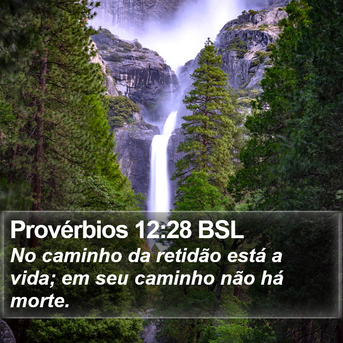 Provérbios 12:28 BSL Bible Study