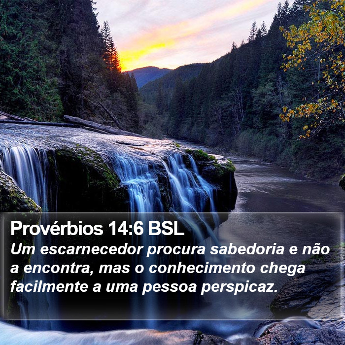 Provérbios 14:6 BSL Bible Study