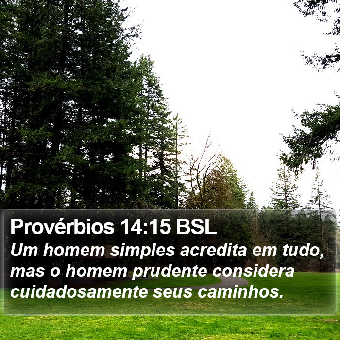 Provérbios 14:15 BSL Bible Study