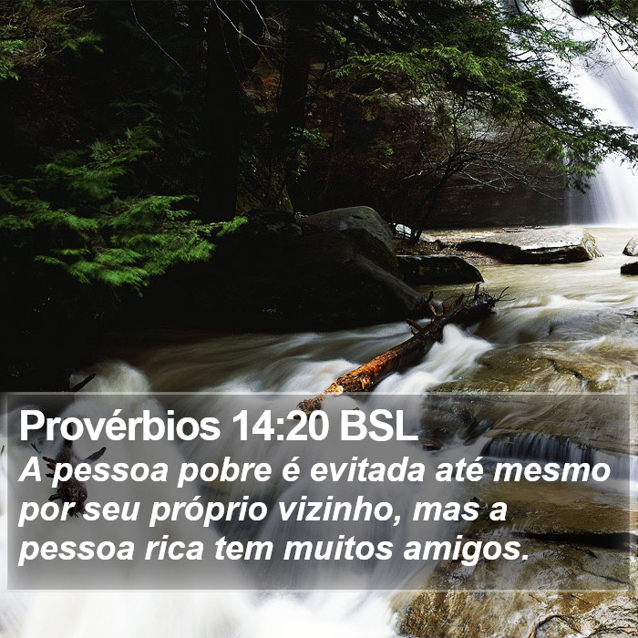 Provérbios 14:20 BSL Bible Study