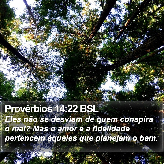 Provérbios 14:22 BSL Bible Study