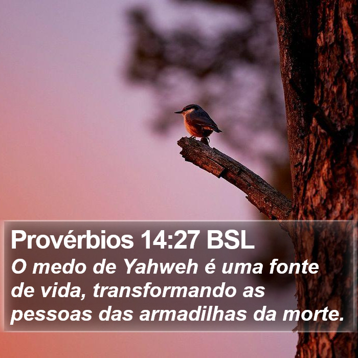 Provérbios 14:27 BSL Bible Study