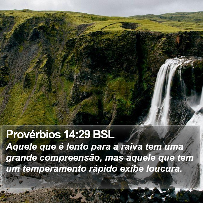 Provérbios 14:29 BSL Bible Study