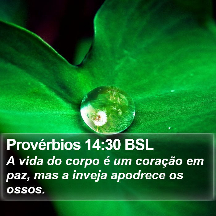 Provérbios 14:30 BSL Bible Study