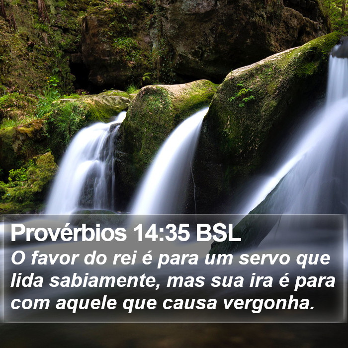 Provérbios 14:35 BSL Bible Study