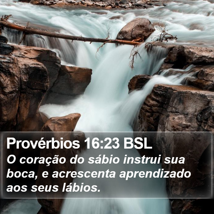 Provérbios 16:23 BSL Bible Study