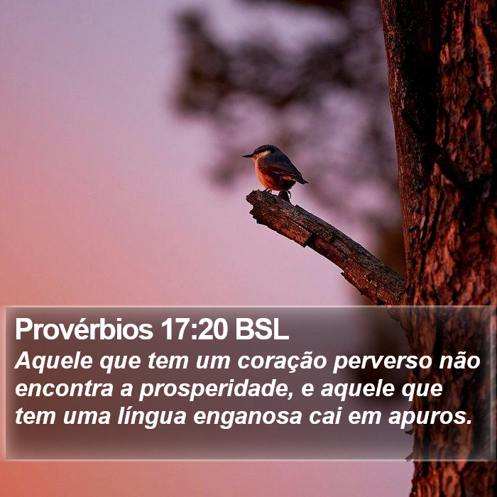 Provérbios 17:20 BSL Bible Study