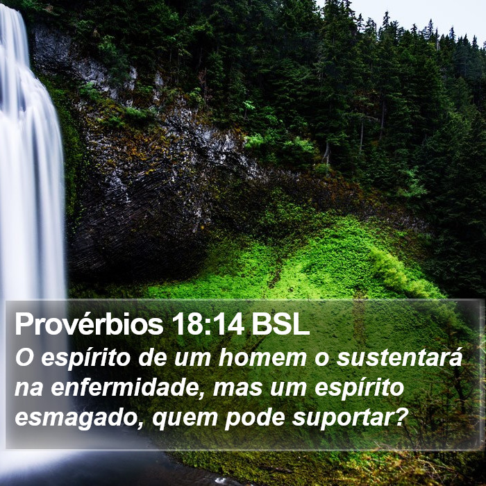 Provérbios 18:14 BSL Bible Study