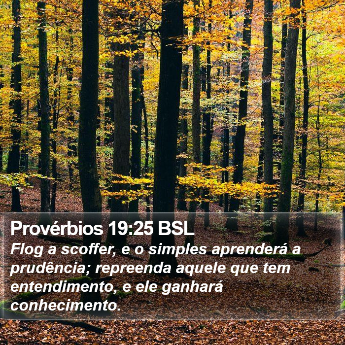 Provérbios 19:25 BSL Bible Study