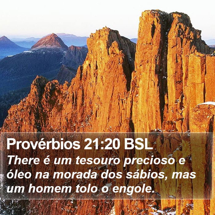 Provérbios 21:20 BSL Bible Study