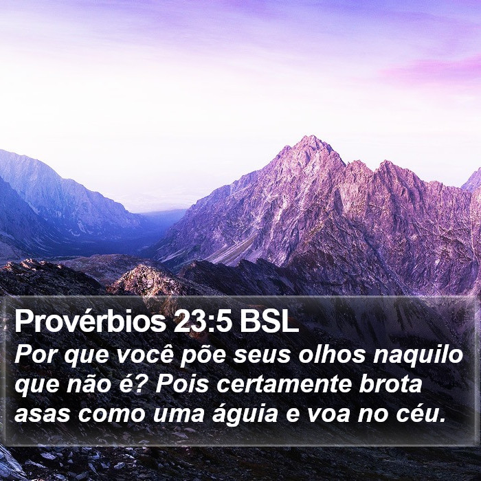 Provérbios 23:5 BSL Bible Study