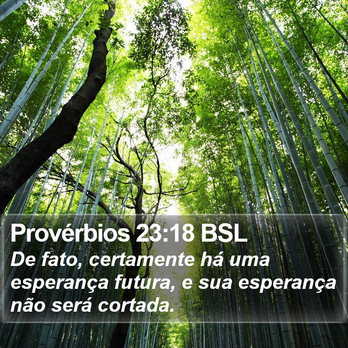 Provérbios 23:18 BSL Bible Study