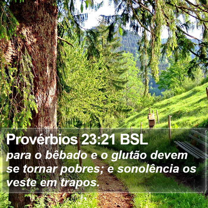 Provérbios 23:21 BSL Bible Study