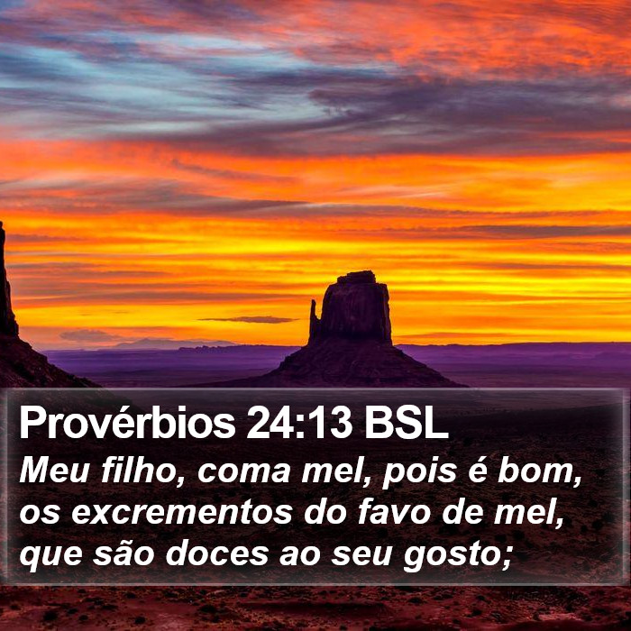 Provérbios 24:13 BSL Bible Study