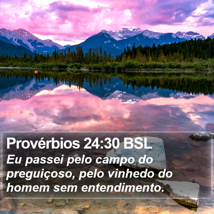 Provérbios 24:30 BSL Bible Study