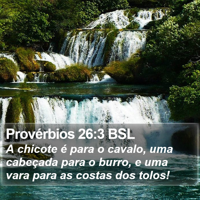 Provérbios 26:3 BSL Bible Study
