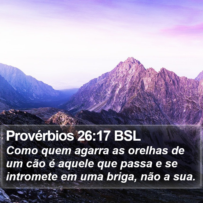 Provérbios 26:17 BSL Bible Study