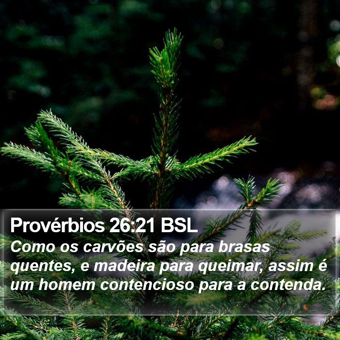 Provérbios 26:21 BSL Bible Study