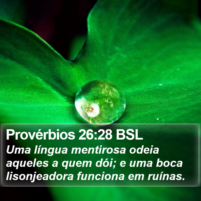 Provérbios 26:28 BSL Bible Study
