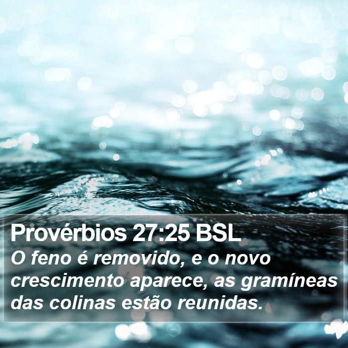 Provérbios 27:25 BSL Bible Study