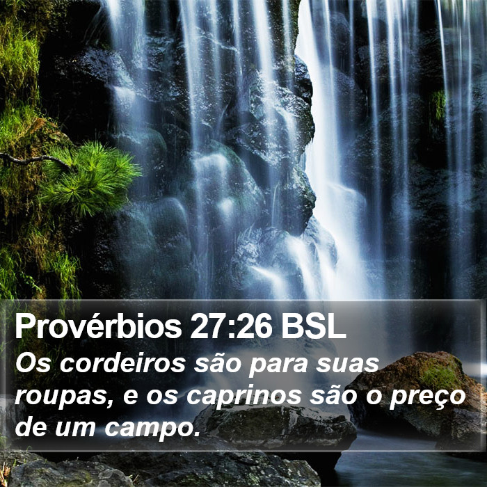 Provérbios 27:26 BSL Bible Study