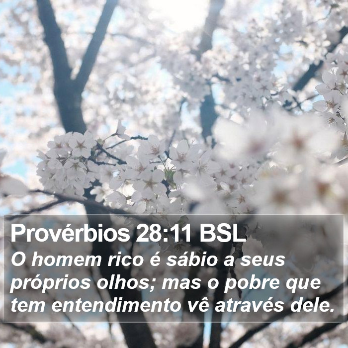Provérbios 28:11 BSL Bible Study