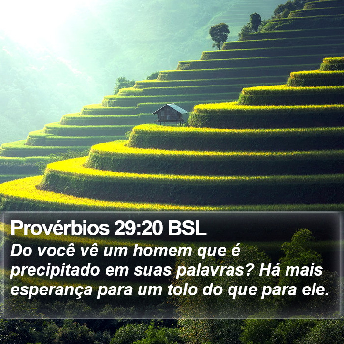 Provérbios 29:20 BSL Bible Study