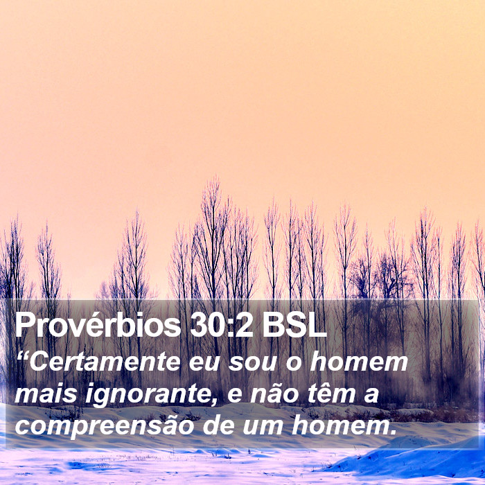 Provérbios 30:2 BSL Bible Study