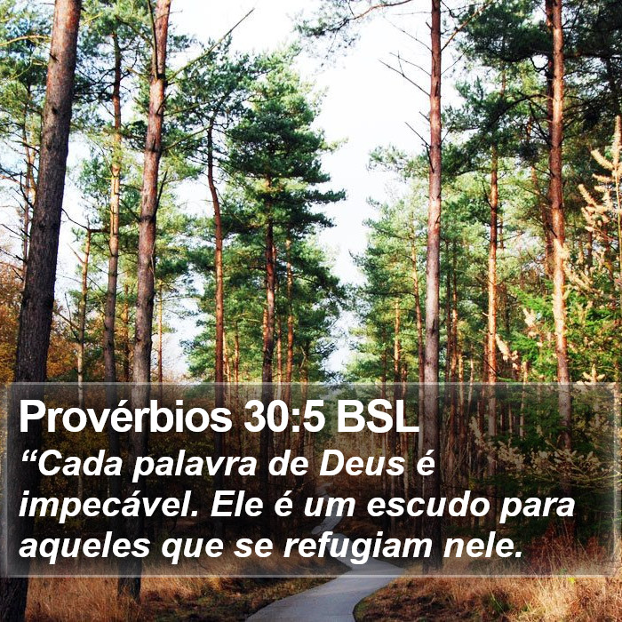 Provérbios 30:5 BSL Bible Study