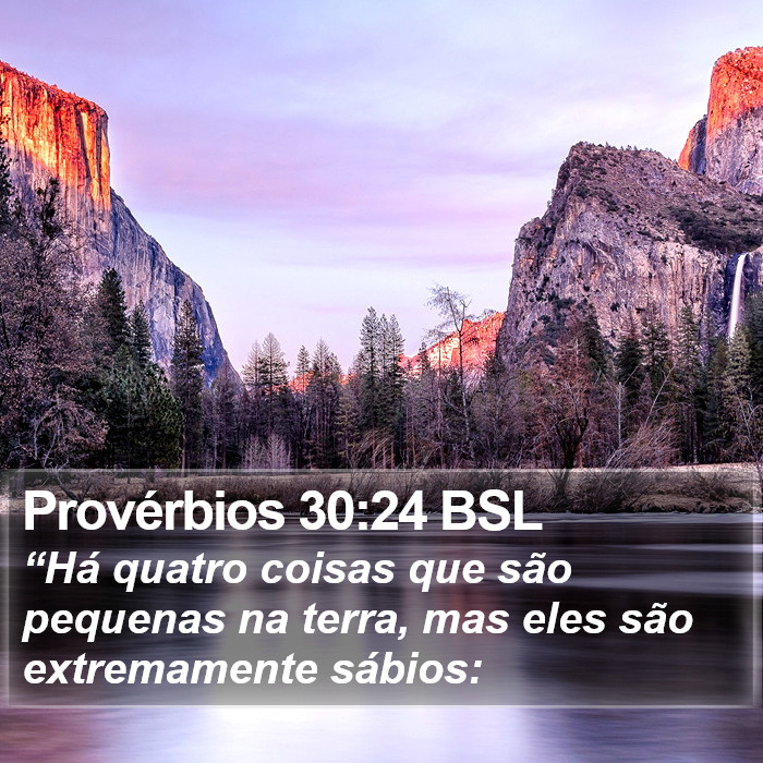 Provérbios 30:24 BSL Bible Study