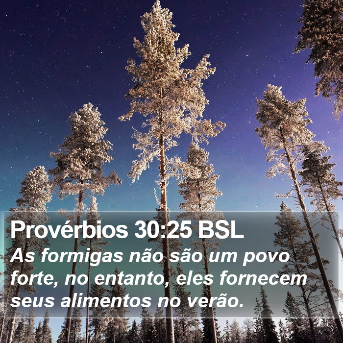 Provérbios 30:25 BSL Bible Study