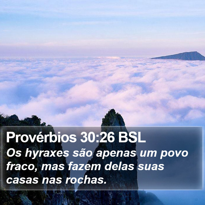 Provérbios 30:26 BSL Bible Study