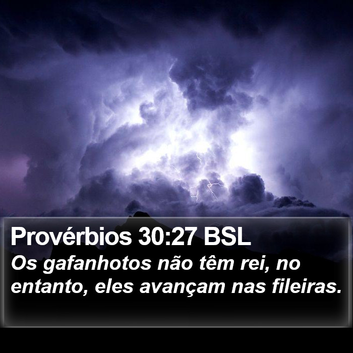 Provérbios 30:27 BSL Bible Study