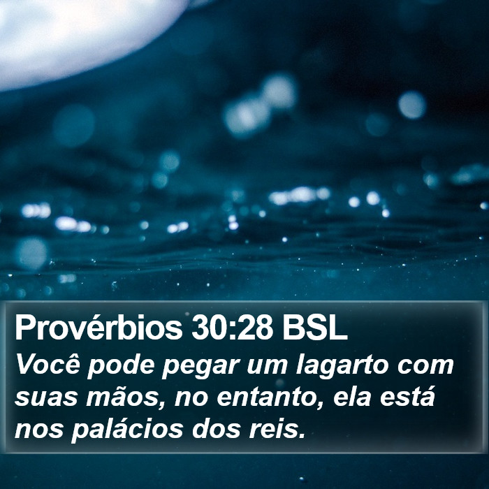Provérbios 30:28 BSL Bible Study