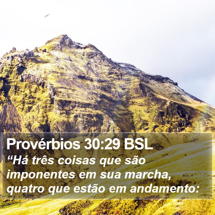 Provérbios 30:29 BSL Bible Study