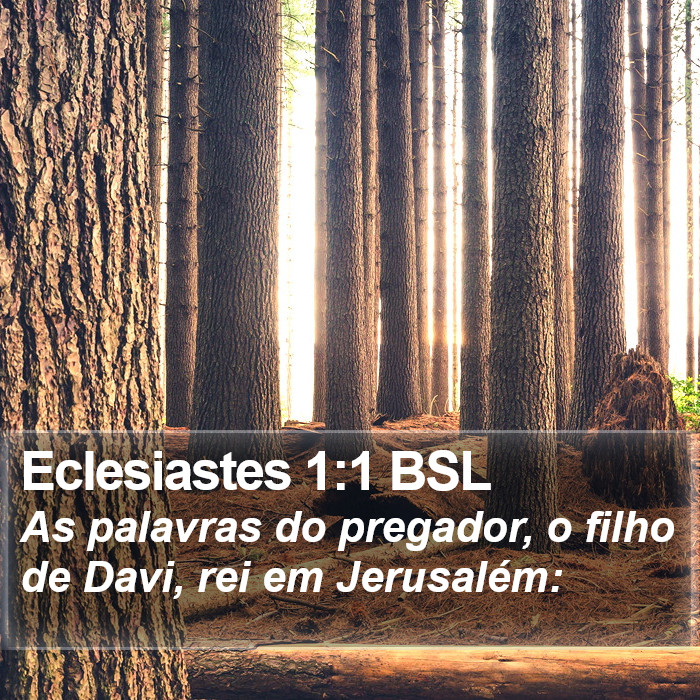 Eclesiastes 1:1 BSL Bible Study