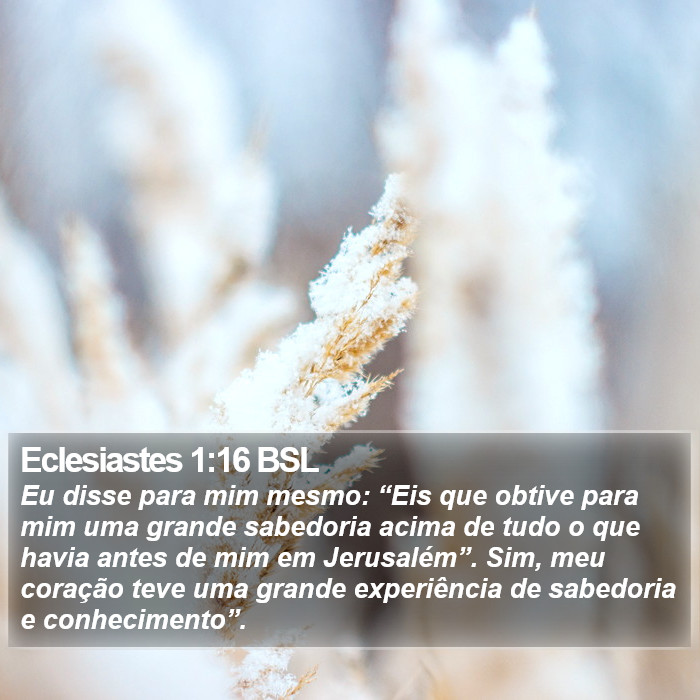 Eclesiastes 1:16 BSL Bible Study