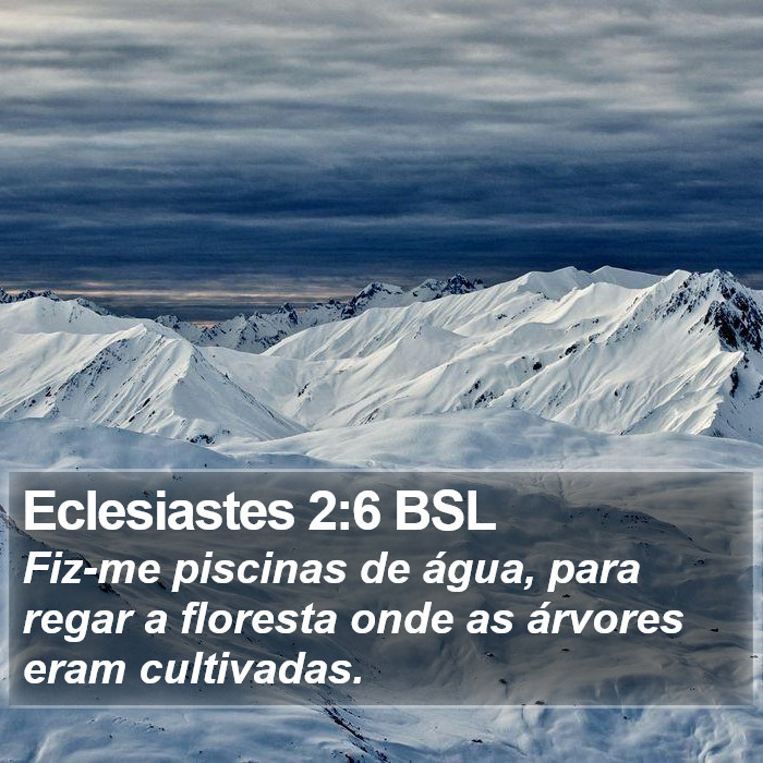 Eclesiastes 2:6 BSL Bible Study