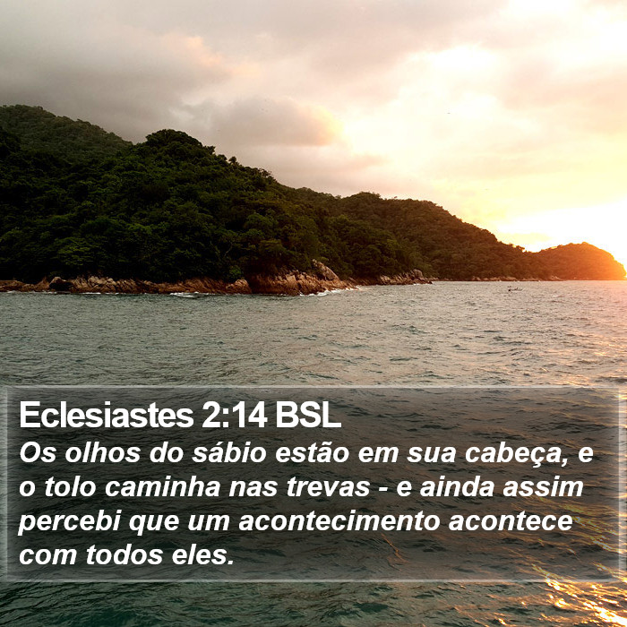 Eclesiastes 2:14 BSL Bible Study