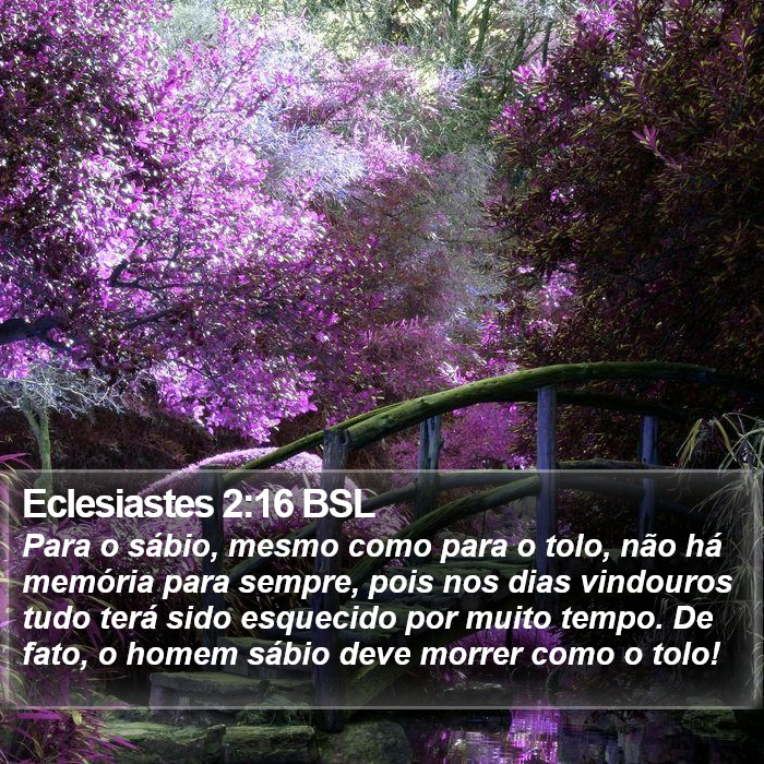 Eclesiastes 2:16 BSL Bible Study