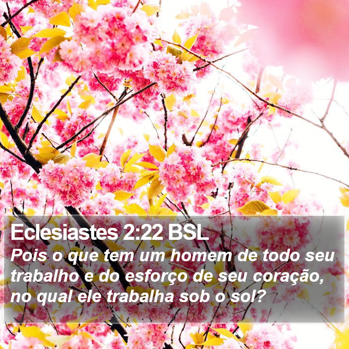 Eclesiastes 2:22 BSL Bible Study