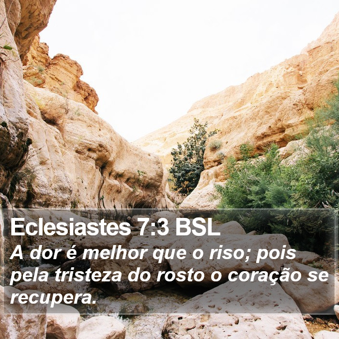 Eclesiastes 7:3 BSL Bible Study