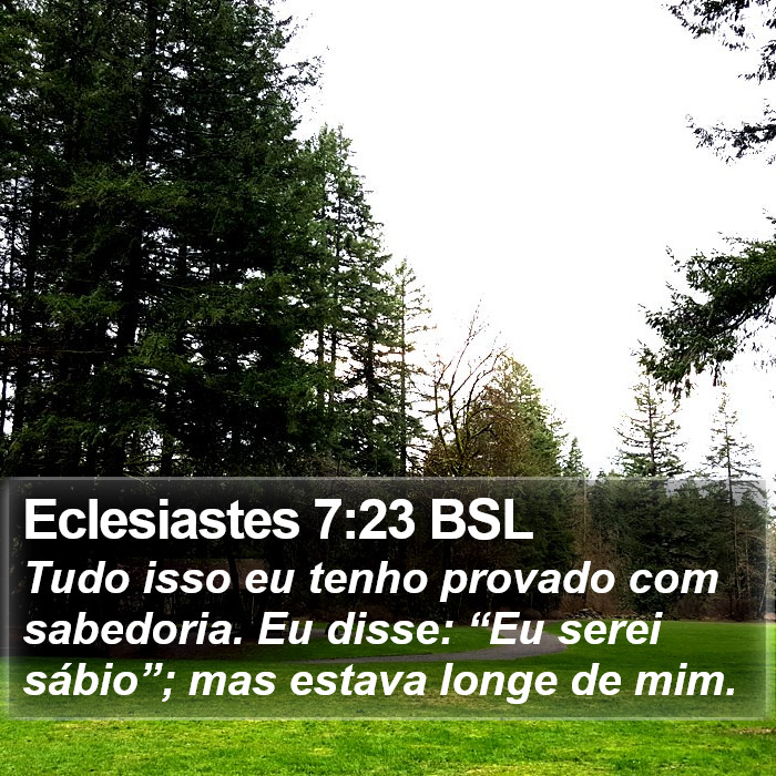 Eclesiastes 7:23 BSL Bible Study