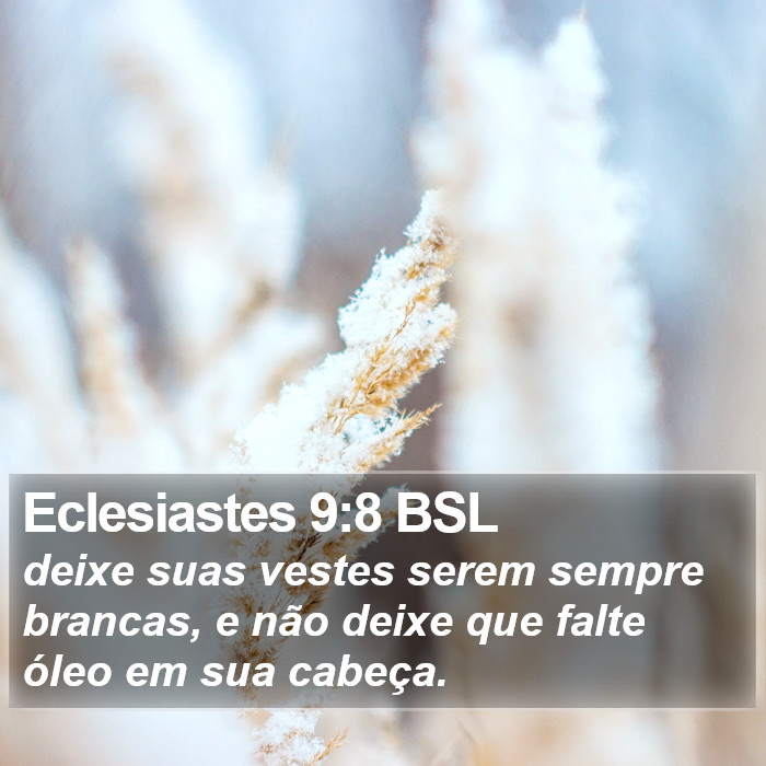 Eclesiastes 9:8 BSL Bible Study