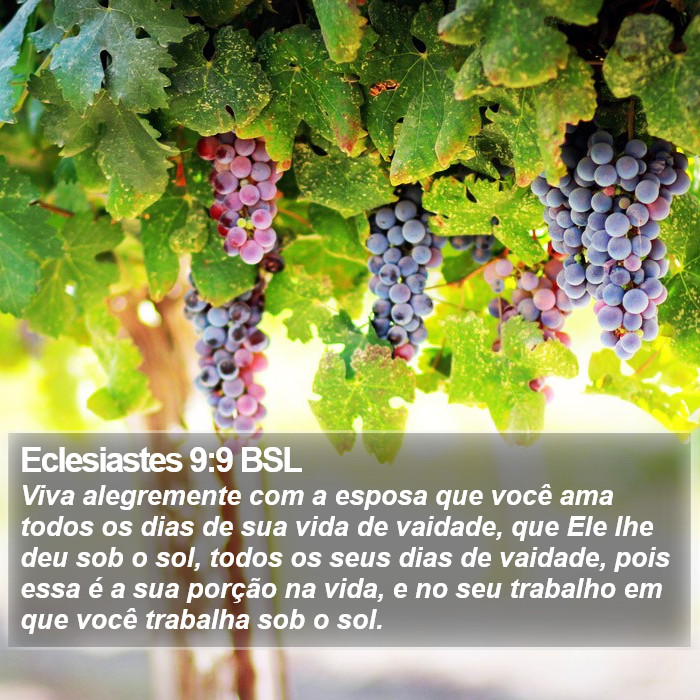 Eclesiastes 9:9 BSL Bible Study