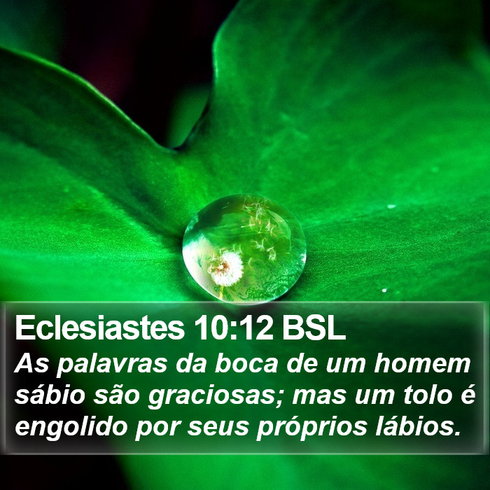 Eclesiastes 10:12 BSL Bible Study