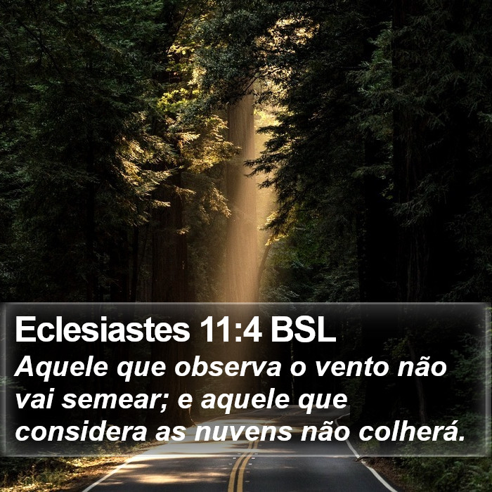 Eclesiastes 11:4 BSL Bible Study