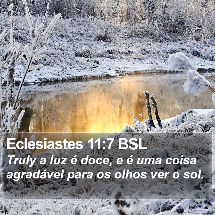Eclesiastes 11:7 BSL Bible Study